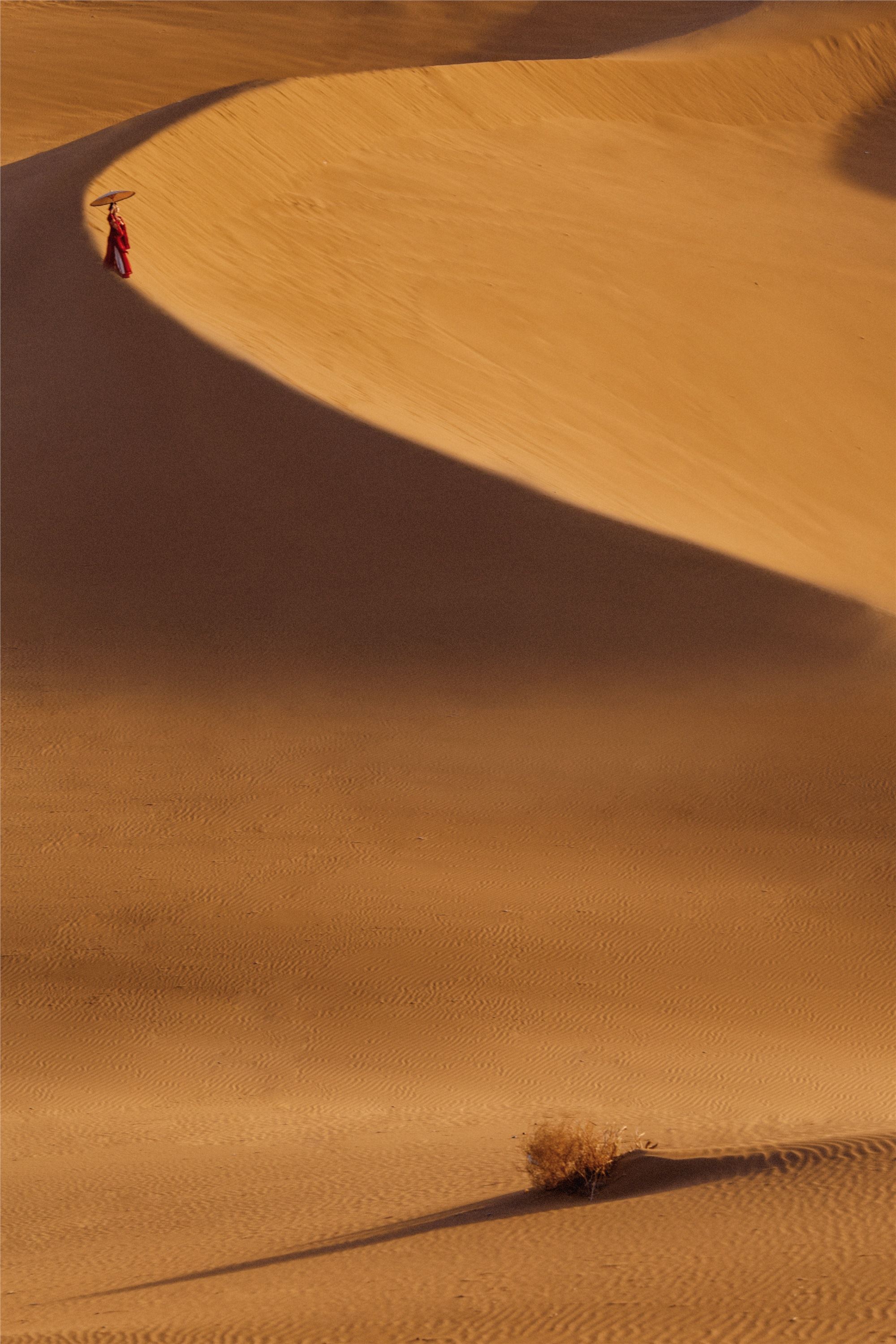 YITUYU艺图语 2021.09.08 漠上行 兔小白